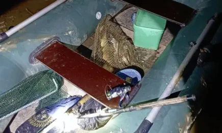 При нощни проверки ИАРА състави актове за нарушения в районите на Шумен и Силистра