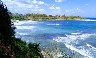 По случай Деня на Черно море WWF призовава да избираме устойчива морска храна