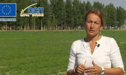Росица Телкеджийска, производител на биозеленчуци: Съхраняваме природата, съхраняваме себе си и произвеждаме изключително ароматна и вкусна храна