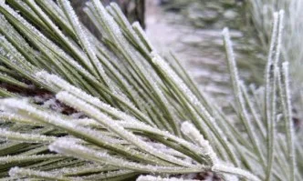 Дневните температури ще се повишат