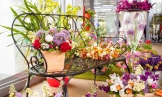 Наближава цветното изложение 