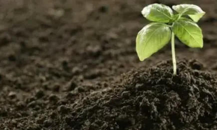 ЕК запазва антидъмпинговите мита