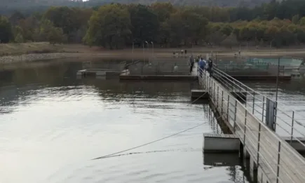 Иновации и инвестиции в рибарството и аквакултурите