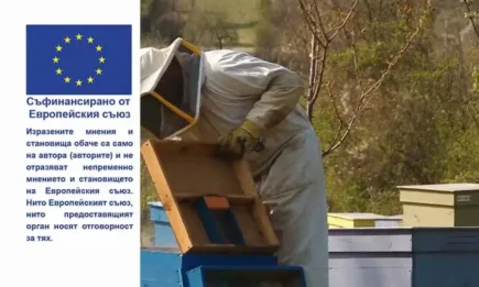 Теодор Пушкаров: Традицията в пчеларството започва още от прадядо ми