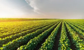 С 38 млн. евро ще бъдат увеличени средствата по подмярка 4.2