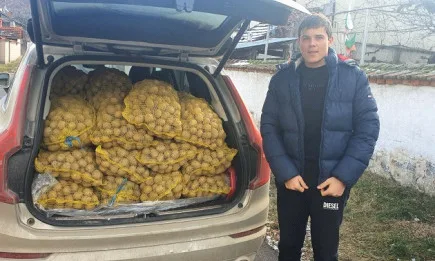 Фирми изкупуват картофи и ги даряват