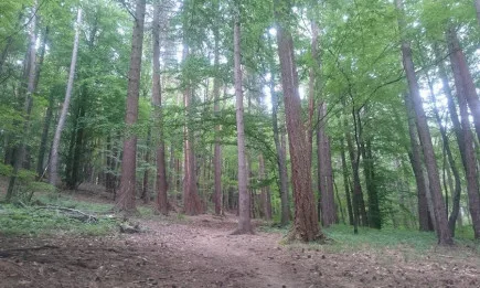 Четири съвместни проверки са извършени от служителите на РДГ-Пловдив, РУ на МВР и НАП