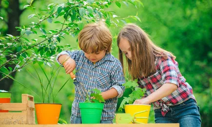 ЕК променя двата регламента относно прилагането на схемата за плодове, зеленчуци и мляко в учебните заведения