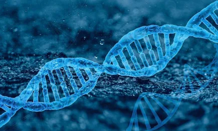 Стела Кириакидис: Генната ножица не е опасна