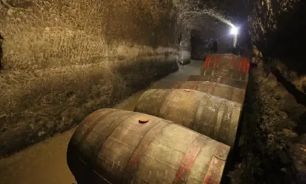 Атанас Василев: Българските вина са с топ качество, но ни липсва маркетинг