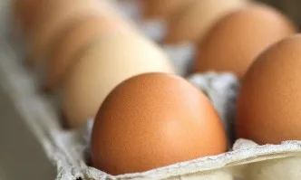 Швейцария с рекордно производство на яйца