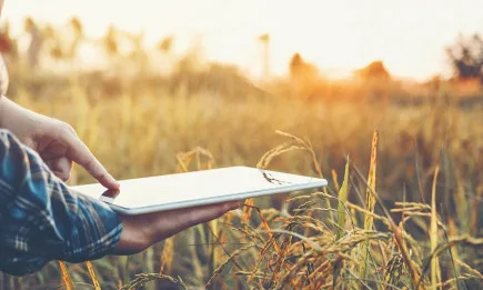 В новия брой на сп. АгроКомпас: Две гледни точки за зеленчукопроизводството – на успелия и на отказалия се