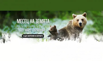 С всеки изминал ден ние, хората, губим по малко от връзката си с природата