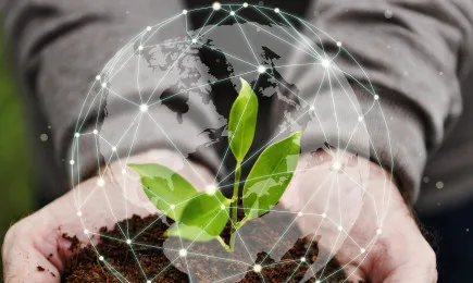 ОСП – кой плаща?