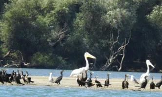 Днес Природен парк Персина