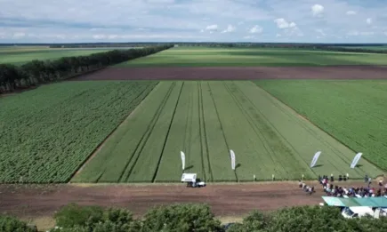Перфектното партньорство: Ревистар Флекс и Ревикеaр - за здрави посеви до жътва