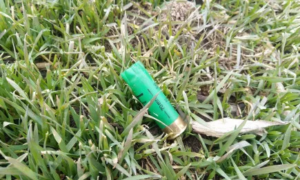 Промяна в графика за ловуване по време на коледните и новогодишните празници