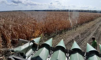 ДЕКАЛБ - предимството в царевичното производство