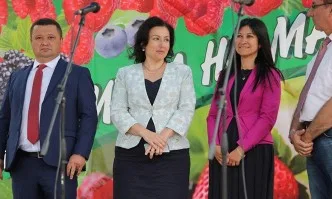 От МЗХГ отчитат устойчив ръст при реколтираните площи с малини и ягоди за последните три години