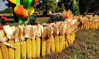 95 години Институт по царевицата в гр. Кнежа