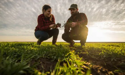 България ще разполага с близо 887 млн. евро по ПРСР за 2021 и 2022 г.