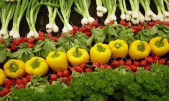 Подобравяне на ефективността на управлението на земеделските стопанства и реализацията на селскостопанската продукция