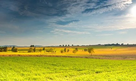 Правителството одобри резултатите от заседанието на Съвета на ЕС по земеделие и рибарство