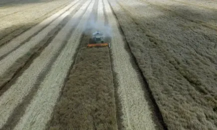 Румънските фермери поискаха от правителството забрана за внос на зърно от Украйна