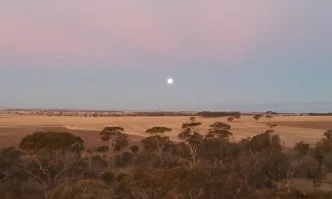 Първото дело в Австралия срещу производителите на глифозат
