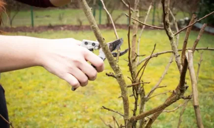 Топло за сезона време, не се очакват съществени валежи