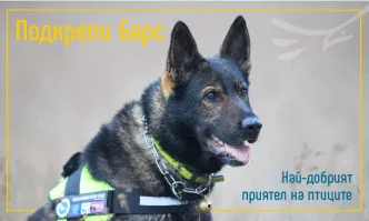 Стартира кампания в подкрепа на единствения в страната екип с обучено куче за борба с отровите в дивата природа