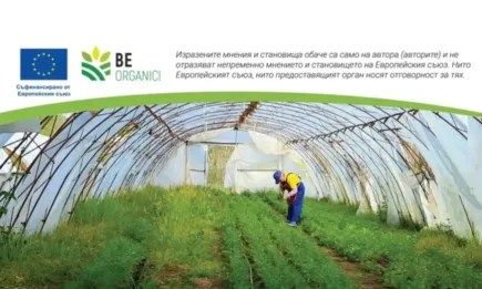 Био градина БГ Туинс: Модерен подход за био земеделие и къси вериги