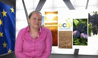 Европейската подкрепа е с изключителна роля за земеделския сектор в България в много аспекти, но има проблеми, свързани изцяло с наши национални решения