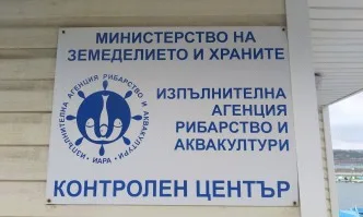 При акция на сектор Рибарство и контрол Бургас конфискуваха над 900 кг сребриста каракуда