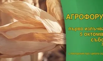 В АГРОФОРУМ: Научно-изследователския и внедрителски проект Царевицата – царицата на полето