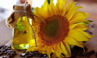 Рекордно голямо количество слънчогледово масло внася ЕС