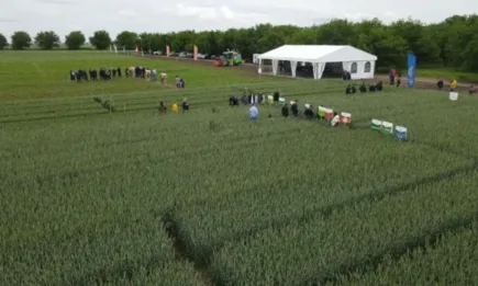 Растителна защита в условия на климатични предизвикателства