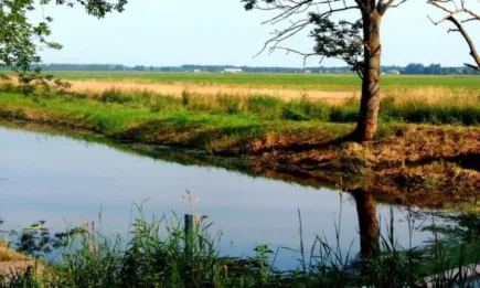 Министър Вътев и заместник-министър Тошев проведоха среща със Съвета на директорите на Напоителни системи