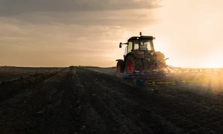 Експерти, къде сте?