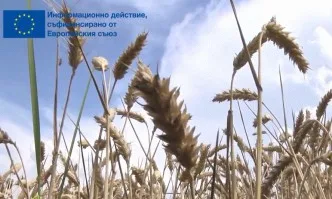 Преразпределителните плащания – осигуряват ли балансирано и справедливо подпомагане на чувствителни сектори