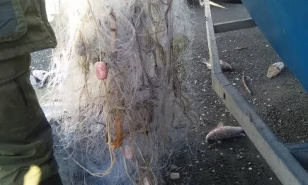 1 км. мрежи бяха извадени от водите на язовир Мандра