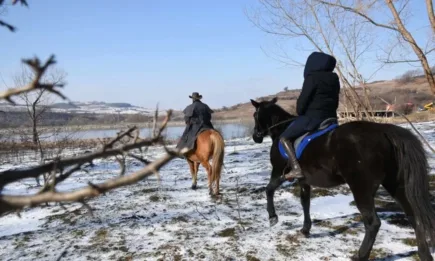 В Конете на България: 100-годишната история на Дунавския кон у нас
