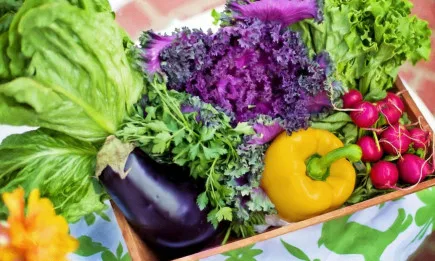 Определени са ставките по схемите за обвързано подпомагане за плодове и зеленчуци за Кампания 2020