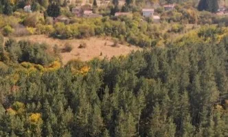 Европейски политики за опазване на горите