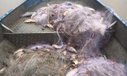 Служители на ИАРА дариха 140 кг. риба на дом за деца в с. Атия