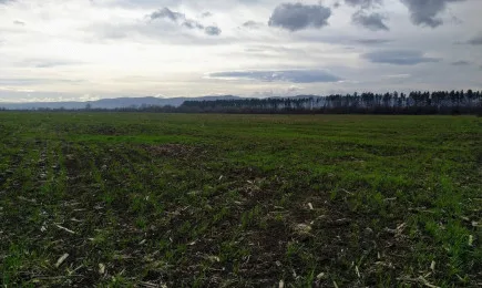 Колко струва един хектар в някои европейски страни?