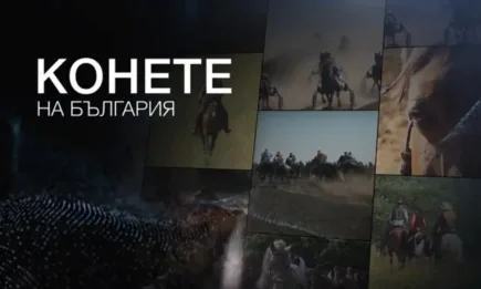 Пъстри моменти в последния за 2022 г. брой на Конете на България