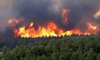Превенция на пожари в горските територии