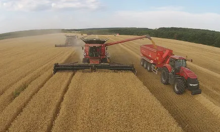 Цените на зърнените контракти продължиха да се покачват