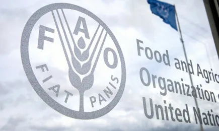 1/3 от парниковите газове идва от хранителните вериги